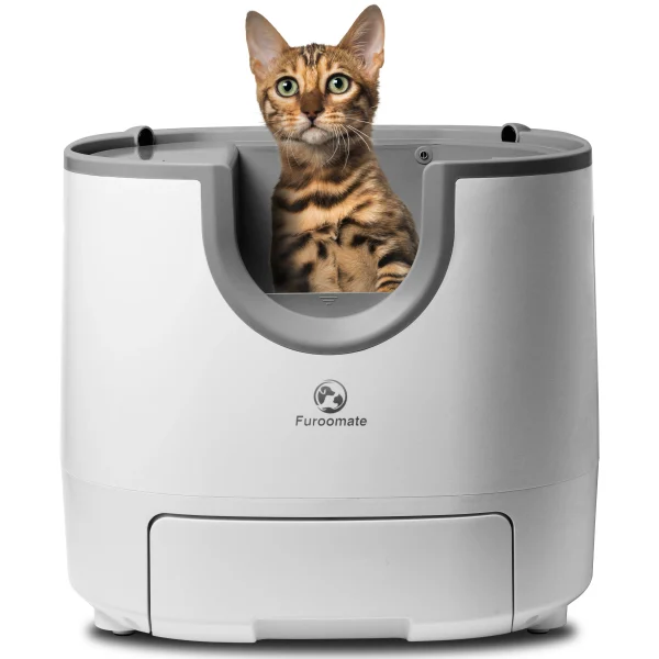 Cat Litter Box Open-Top